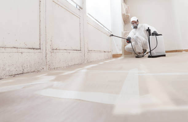 24/7 Emergency Mold Remediation experts in Kingston, PA